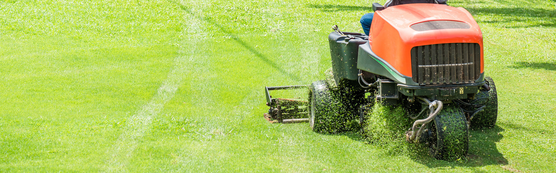 Mower Working on Ground