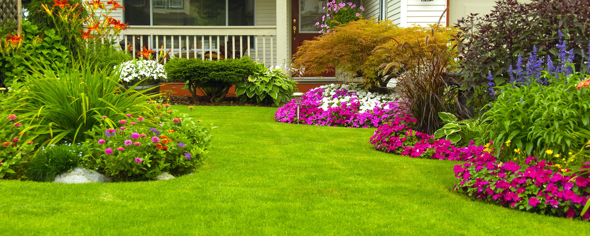 Front Yard