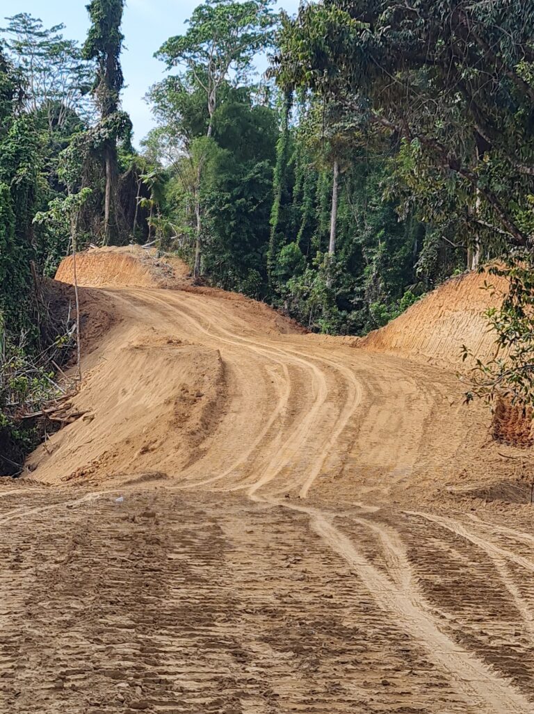 Results of land clearing work in the forest for road construction. The original soil type is sandy clay. There are wheel tracks from dump trucks and excavators